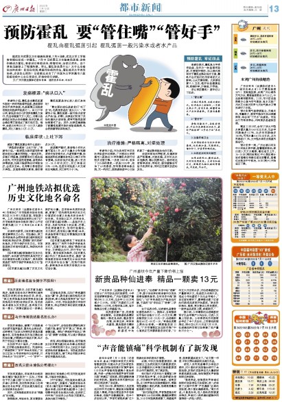 今日广州日报头版图片